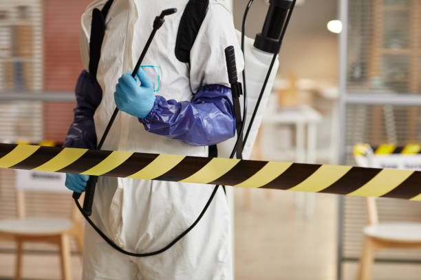 Professional Blood Cleanup technician working in Thornton, NH